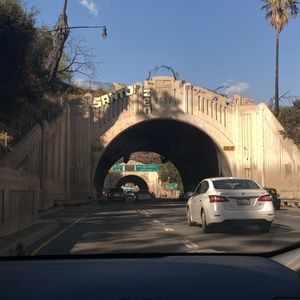 Meet your Posher, Daisy